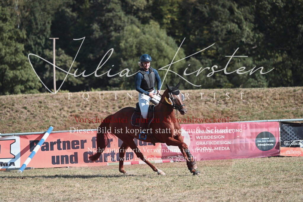 DSC_8894 | Pferde- und Turnierfotografie in Westsachsen. Pferdeportraits, Auftragszeichnungen und intuitive Kunst.