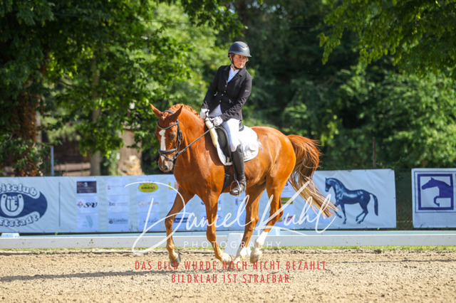 DKP42941 | Turniersportfotografie; Pferdefotografie; Dressurfotografie