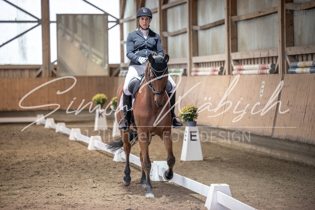 20251011-_3LI1560 | Tierfotografie Pferde, Hunde, Katzen, Haustiere.
Turnierfotografie Reitturniere, Reiten, Springreiten, Dressur in Hanau, dem Main-Kinzig-Kreis und dem Rhein-Main- Gebiet um Frankfurt