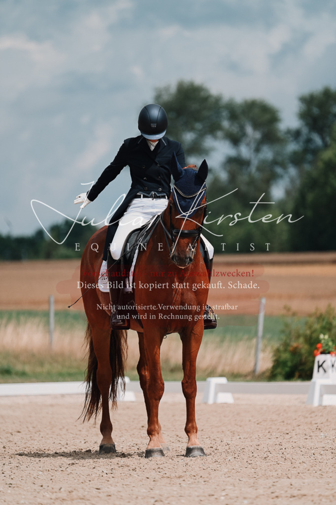 DSC_4201 | Pferde- und Turnierfotografie in Westsachsen. Pferdeportraits, Auftragszeichnungen und intuitive Kunst.