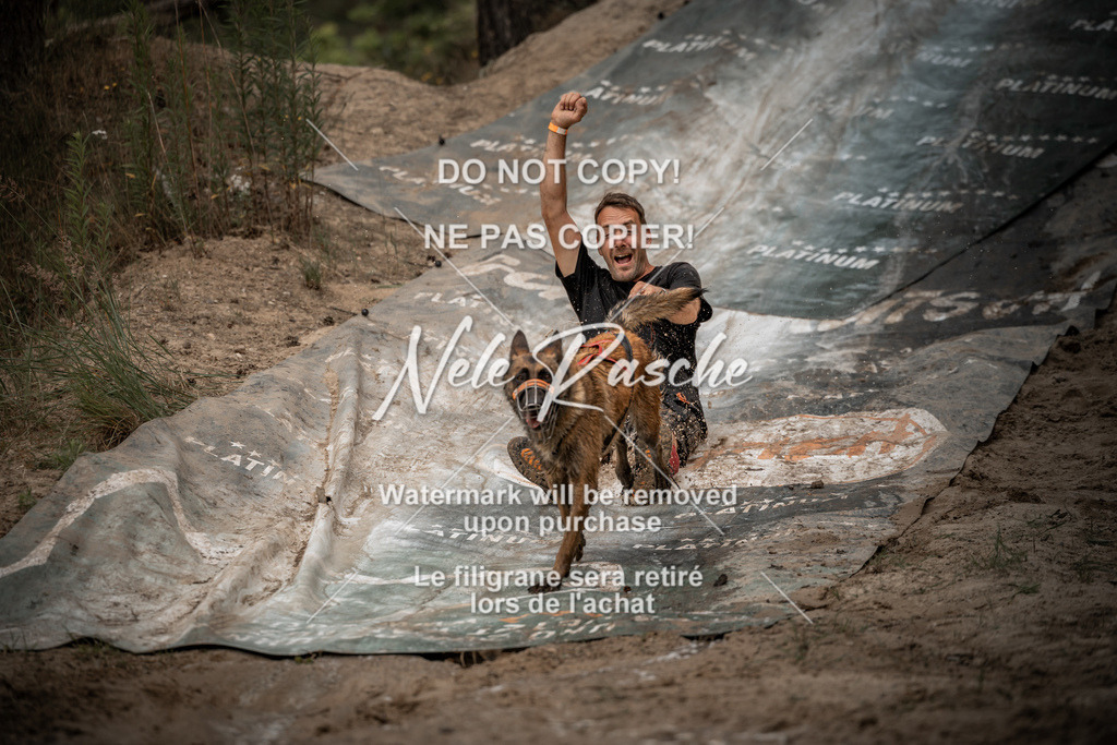 nelerasche_sa1000-1100_267 | nelerasche