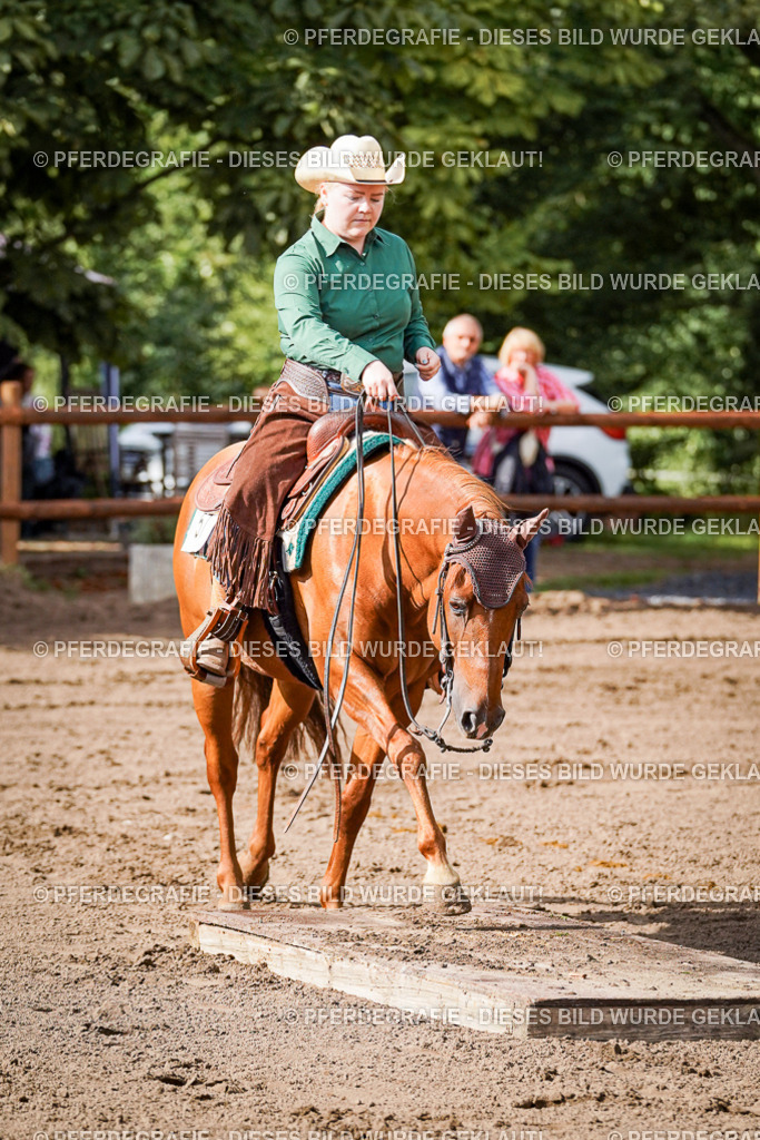 DSC00151 | Pferdegrafie