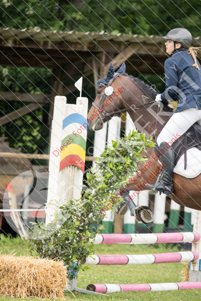 IMG_2676 | Sport-, Event- und Tierfotos in Profiqualität. Einfach auswählen, bestellen und herunterladen. Dein Moment – perfekt festgehalten.