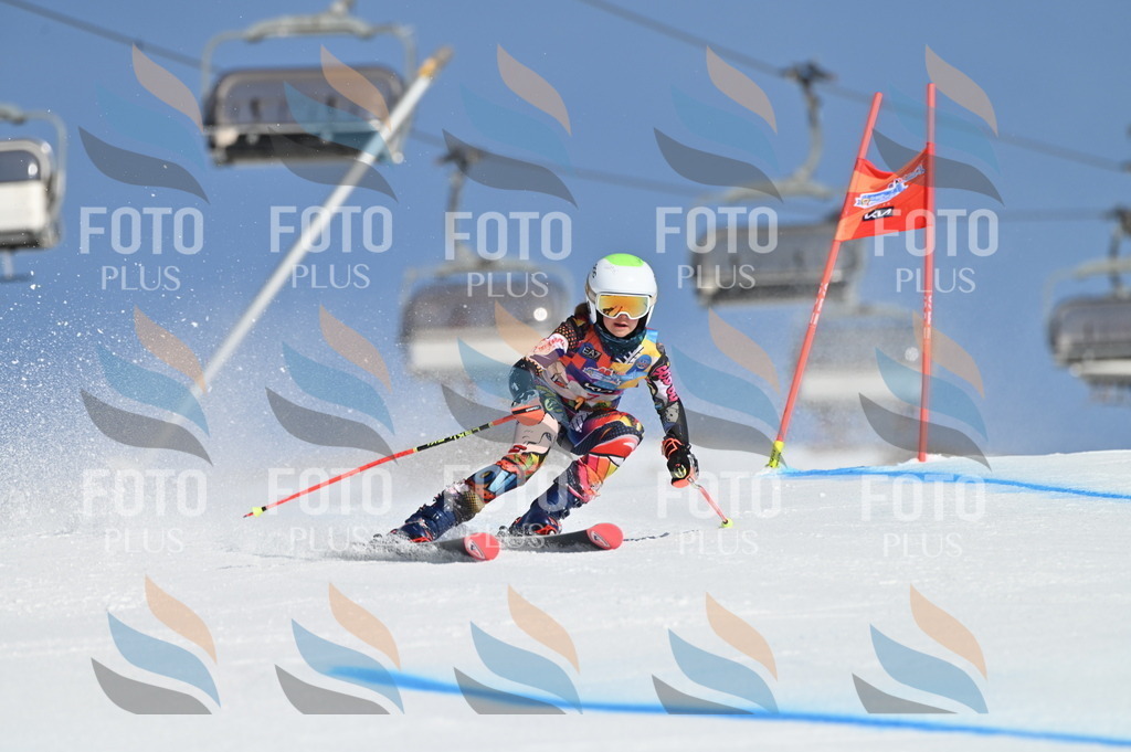 BGV_7686 | holidayphoto