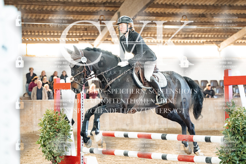 CK904177 | Turnierfotografie Pferdefotografie Trier Rheinland-Pfalz Pferdesport Reitsport Tierfotografie Sportfotografie Pferdevideo Pferdevideografie Equestrianvideography equestrianphotography  - Realized with Pictrs.com