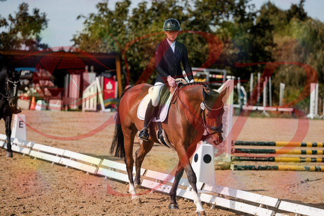 2026_10_03_Siefer-Hof_131543_Z63_77630019 | Professionelle Reitsport-, Turnier- und Eventfotografie von Robert Broda. Galerien mit ausgewählten und bearbeiteten Bildern direkt online ansehen und bestellen.