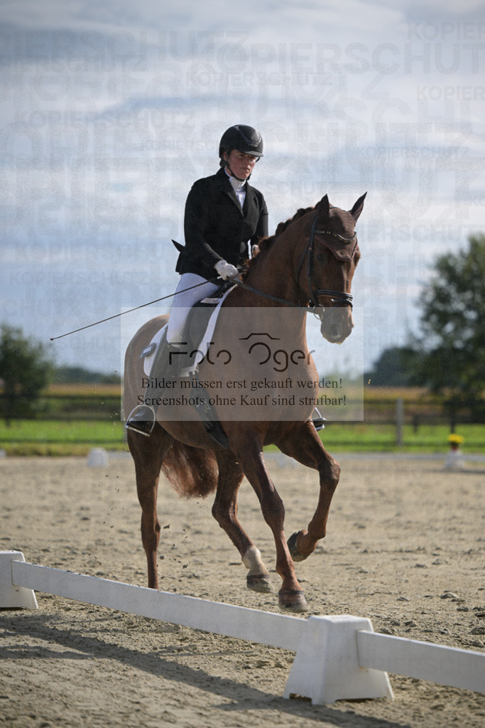 DOS_2680 | Entdecke hochwertige Reitturnierfotos von Foto Oger. Professionell, emotional und authentisch – jetzt Lieblingsmomente im Shop bestellen.Deutschlandweite Turnierfotografie. - Realisiert mit Pictrs.com