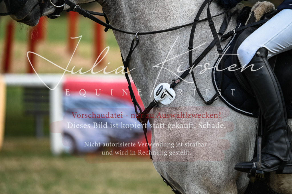 DSC_8138 | Pferde- und Turnierfotografie in Westsachsen. Pferdeportraits, Auftragszeichnungen und intuitive Kunst.
