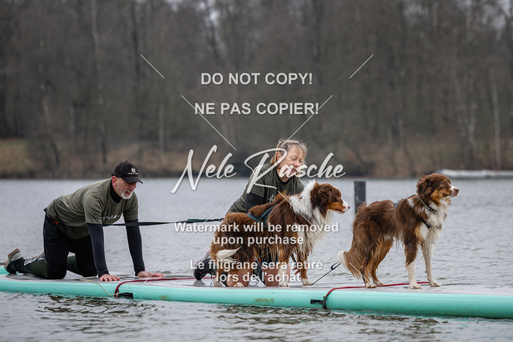 nelerasche_Hulsbeek_Sa1515-1600_36 | nelerasche