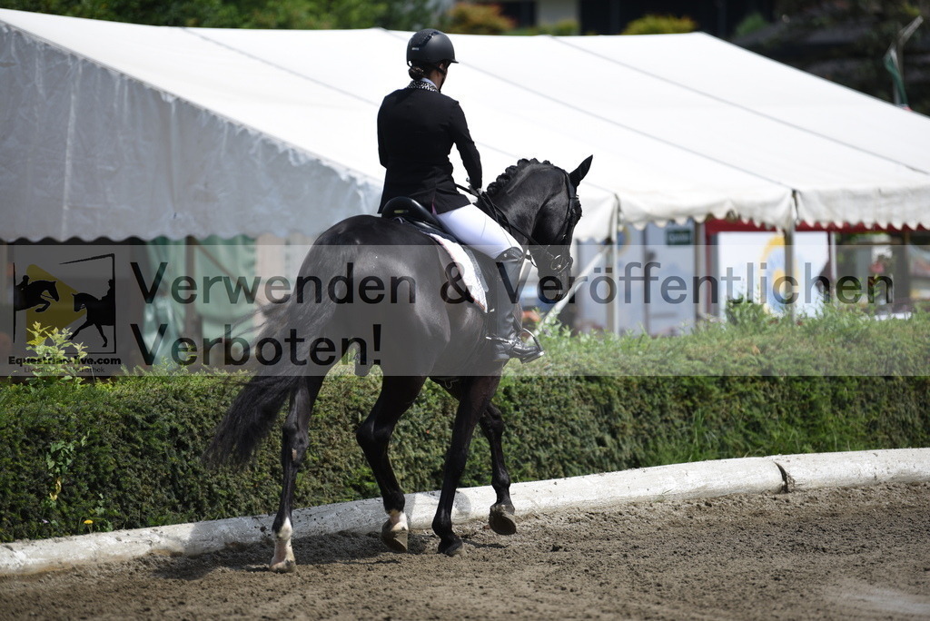 DSC_1199 | equestrian-live-com