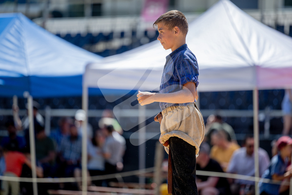 SchwyzerJung2026_00026 | Die Schwinger des Schwyzer Kantonalen Schwingerverbandes: Fotos, die Dynamik und Leidenschaft festhalten, sowie emotionale Momente aus dem traditionellen Schwingsport zeigen. - Realisiert mit Pictrs.com