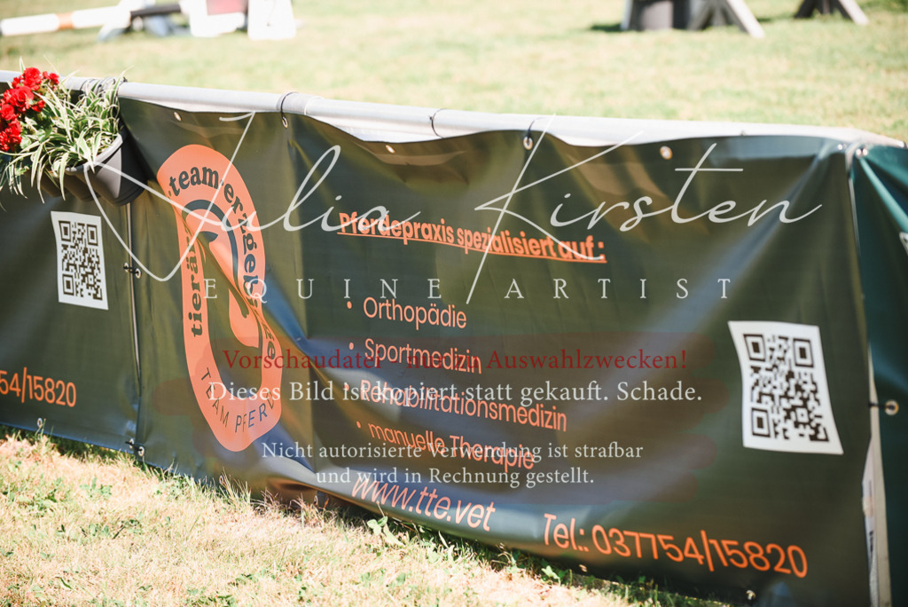 DSC_2687 | Pferde- und Turnierfotografie in Westsachsen. Pferdeportraits, Auftragszeichnungen und intuitive Kunst.