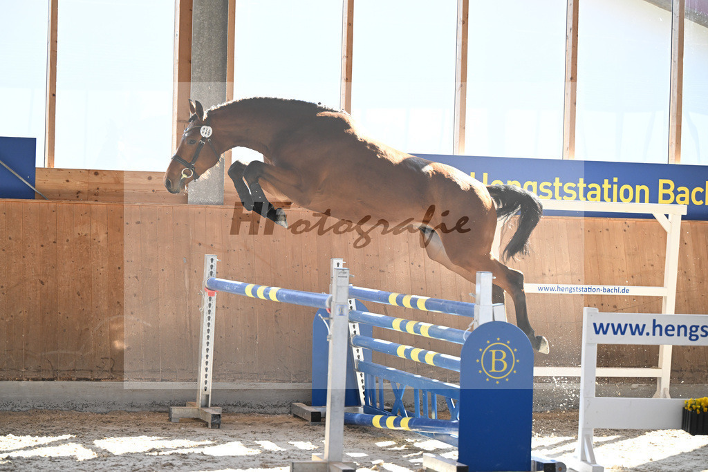 Kat-Nr. 58 Tares Z v. Taycan B_Schaedelbauer_14261662 | hf-fotografie - Realisiert mit Pictrs.com