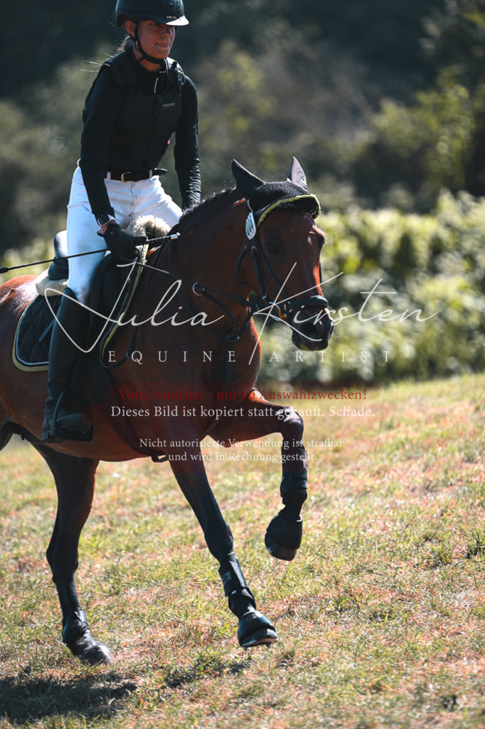 DSC_8171 | Pferde- und Turnierfotografie in Westsachsen. Pferdeportraits, Auftragszeichnungen und intuitive Kunst.