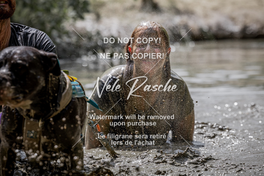 nelerasche_so1145-1230_277 | nelerasche
