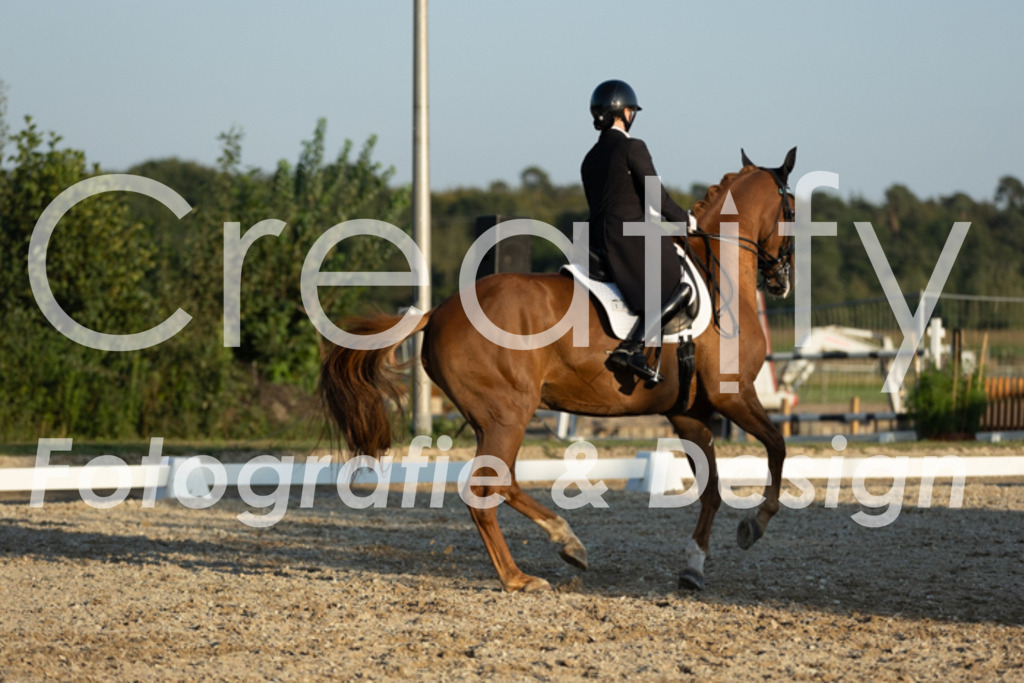IMG_7192 | Creatify Fotografie