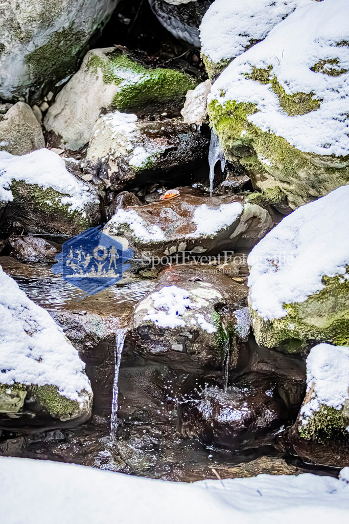 IMAG7823 | SportEventFotografie - Roman Stoiber