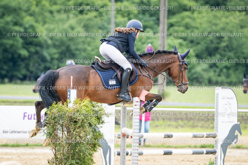 DSC05477 | Pferdegrafie