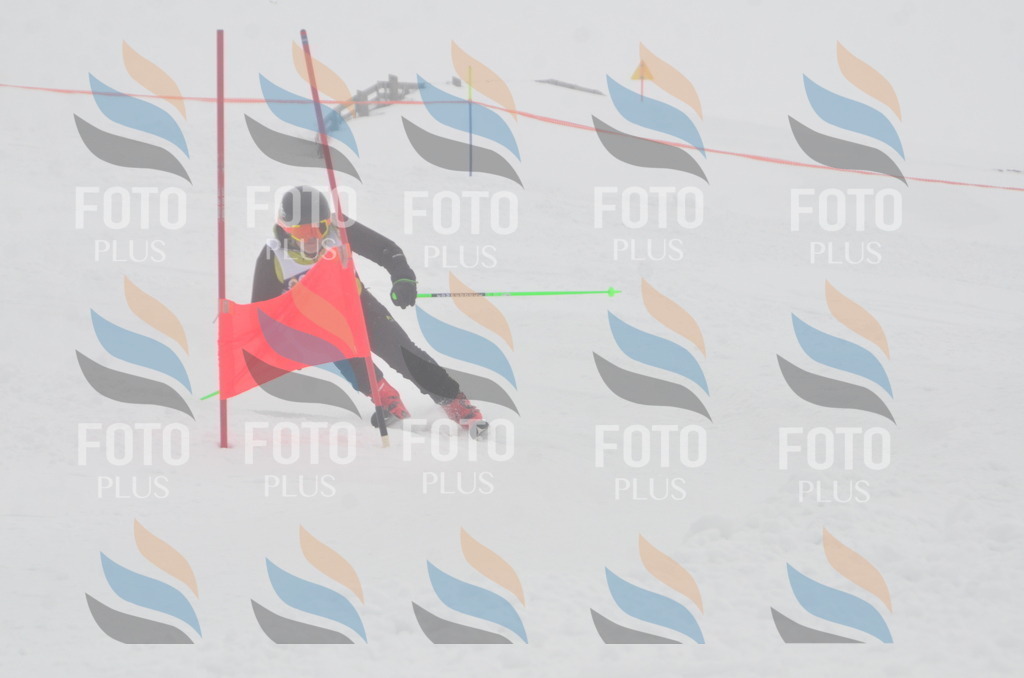 A6037 | holidayphoto