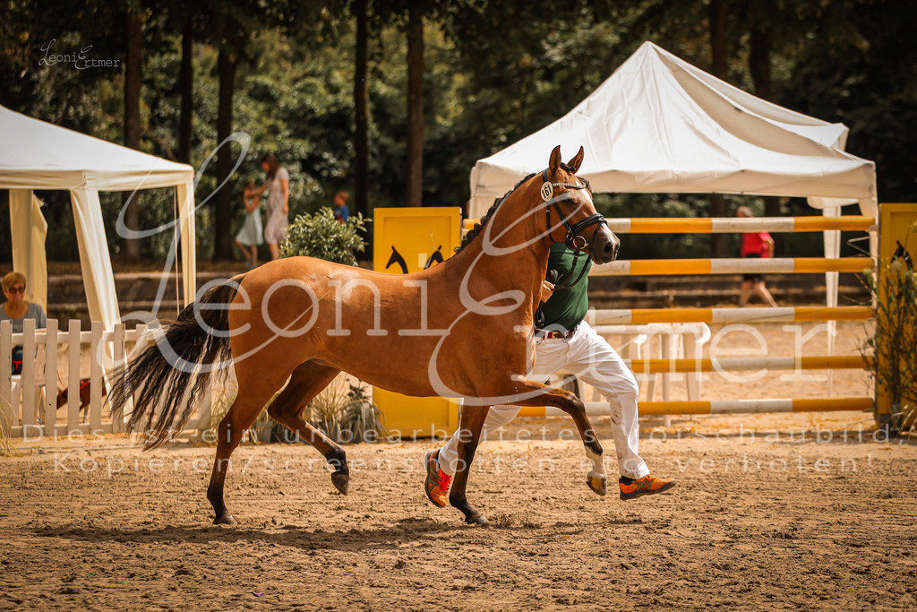 11.So00024 | Leoni Ertmer Photography - Realisiert mit Pictrs.com