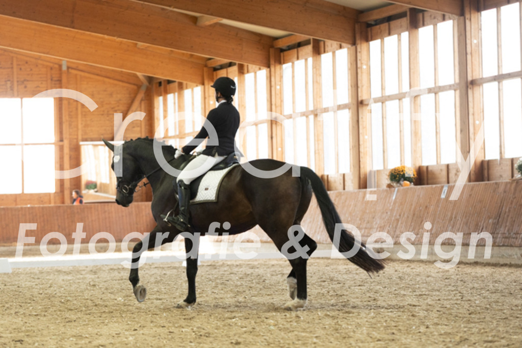 IMG_3237 | Creatify Fotografie