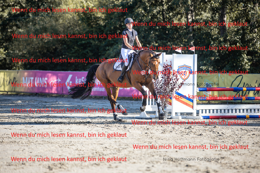 BK1A7613 | Turnierbilder Turnierfotos Nina Hüffmann Turnierfotografie Pferdefotografie Tierzeichnung Haustierzeichnung Pferdezeichnung Hundezeichnung Videograf  - Realisiert mit Pictrs.com