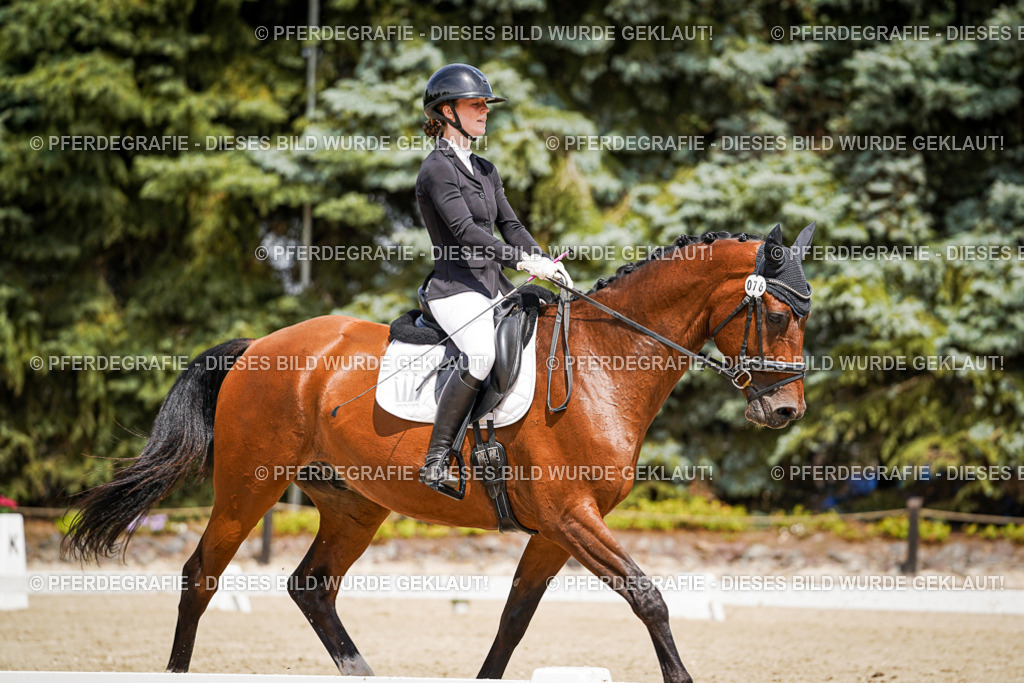 DSC02238 | Pferdegrafie