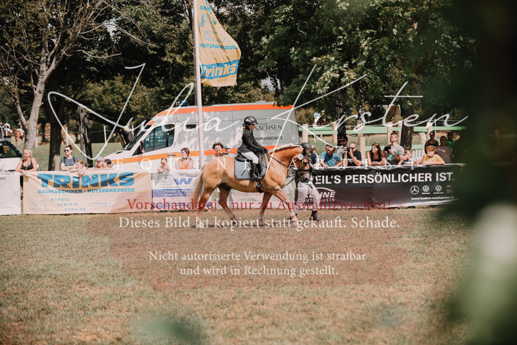 DSC_6121 | Pferde- und Turnierfotografie in Westsachsen. Pferdeportraits, Auftragszeichnungen und intuitive Kunst.