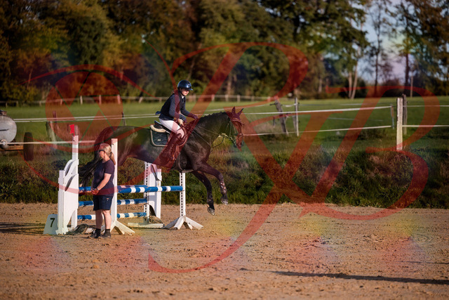 2026_10_03_Siefer-Hof_171558_Z81_13839006 | Professionelle Reitsport-, Turnier- und Eventfotografie von Robert Broda. Galerien mit ausgewählten und bearbeiteten Bildern direkt online ansehen und bestellen.