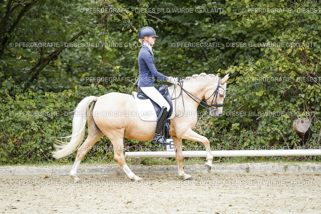 DSC07605 | Pferdegrafie