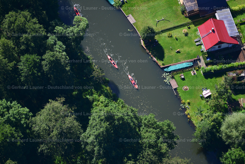 3637344 | LüBBENAU/SPREEWALD 25.08.2016 Kanuten - Fahrt und Ausbildung am Flußverlauf Bürgerfließ in Lübbenau/Spreewald im Spreewald im Bundesland Brandenburg, Deutschland. // Canoeists - ride and training on river line Buergerfliess in Luebbenau/Spreewald at Spreewald in the state Brandenburg, Germany. Foto: Gerhard Launer