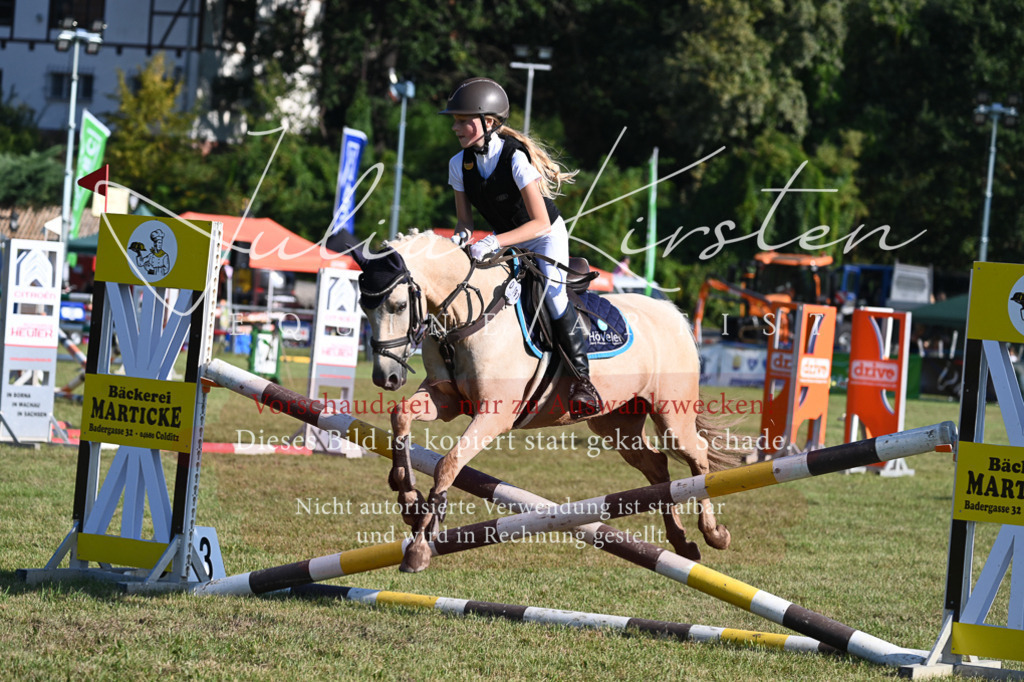 DSC_4911 | Pferde- und Turnierfotografie in Westsachsen. Pferdeportraits, Auftragszeichnungen und intuitive Kunst.