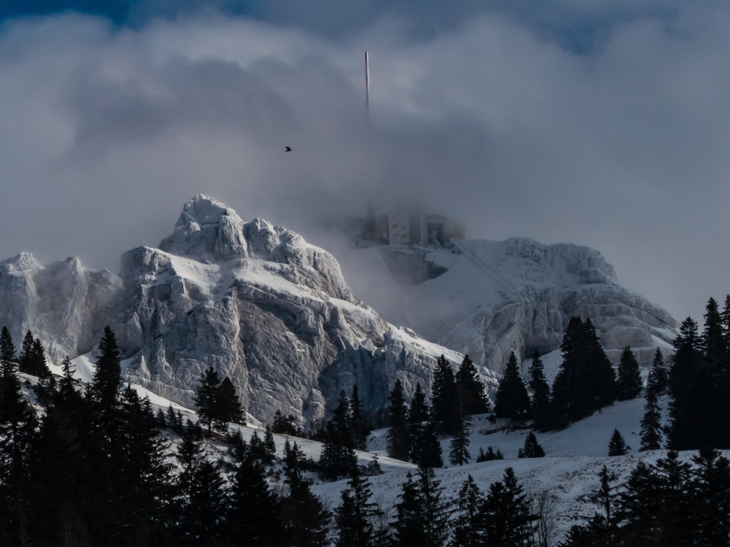 PSX_20230315_221358 | mtkfoto_ - Realisiert mit Pictrs.com