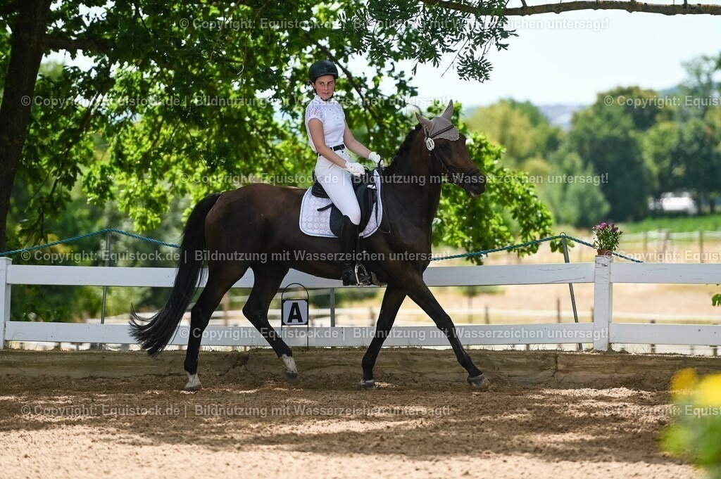 20230715_09_Dressur-WB_0268 | equistock