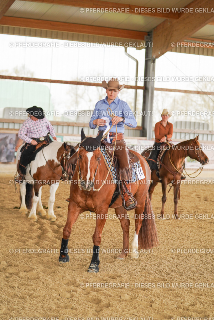 DSC03295 | Pferdegrafie