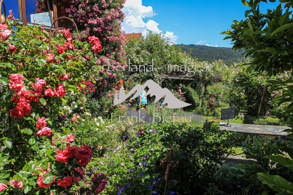 OE7A5633 | Eindrücke aus dem Garten der Familie Wühr
