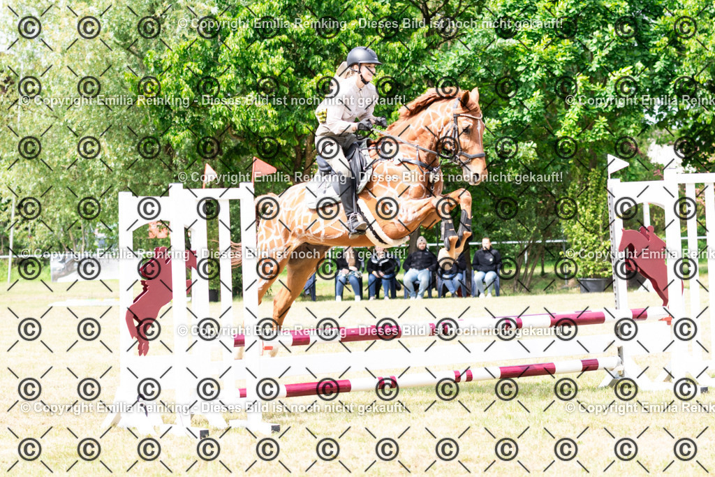 CL5A7897 | Emilia Reinking Fotografie - Realisiert mit Pictrs.com