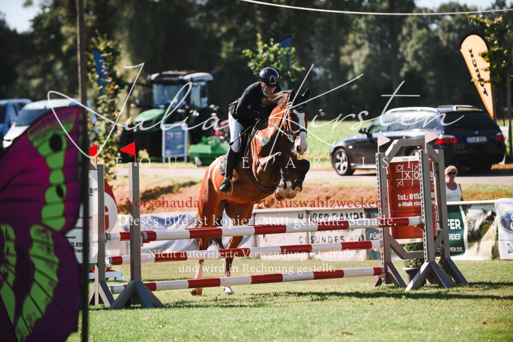 DSC_2466 | Pferde- und Turnierfotografie in Westsachsen. Pferdeportraits, Auftragszeichnungen und intuitive Kunst.