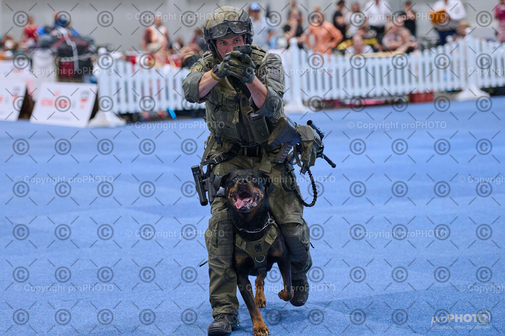 202406_ÖKV-IHA-Tulln24_DSC_3580 | proPHOTO - Realisiert mit Pictrs.com