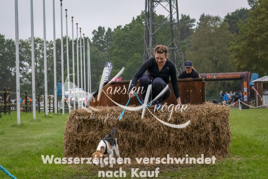 1229--9 | kk-dogfotos