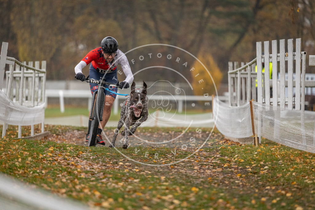 CaniXpix_DV3A7482 | Hundefotografie, Tierfotograf, Pfotenfotografie, Fotoshooting Hund, Hunde Portrait, Hundesport, Hundeportraits, Heideshooting, Hunde, Sportfotograf, Hundefotograf, Turnierhundsport, THS,  - Realisiert mit Pictrs.com