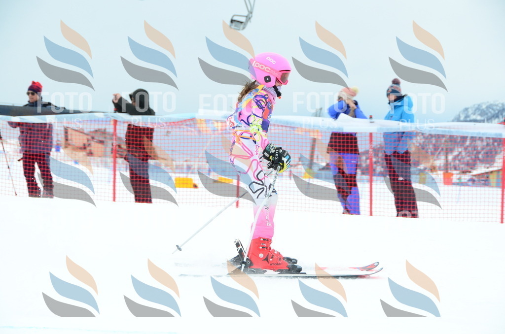 DSC_0805 | holidayphoto