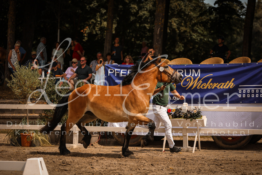 2.Sa00078 | Leoni Ertmer Photography - Realisiert mit Pictrs.com