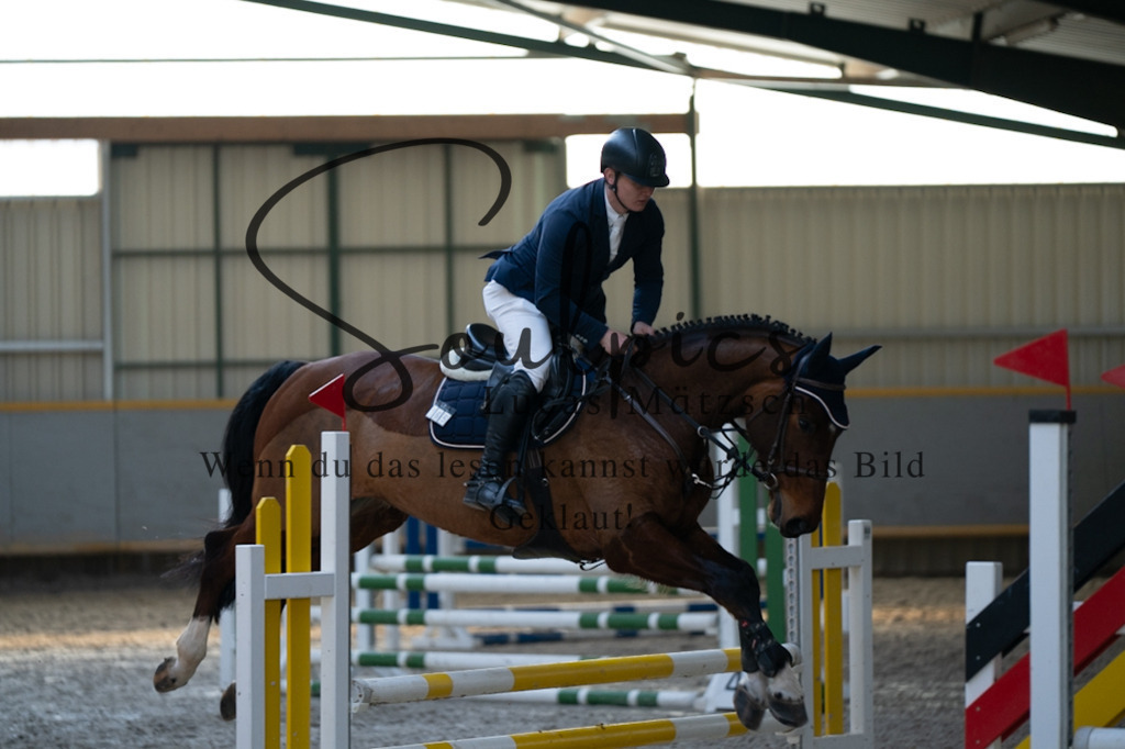 A7V07755 | Pferdefotograf