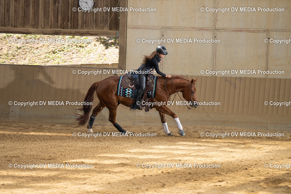 DSC00024 | dv-media-shop - Realisiert mit Pictrs.com