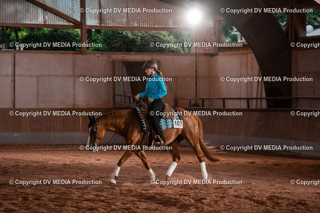 NE201089 | dv-media-shop - Realisiert mit Pictrs.com