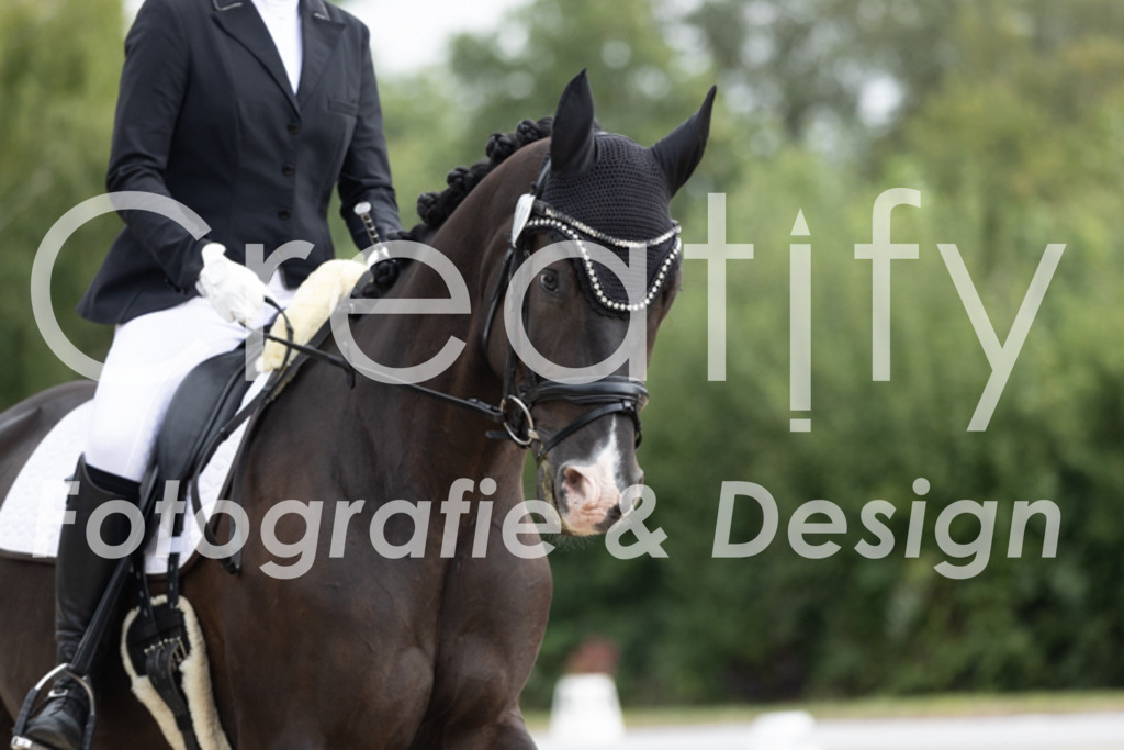 IMG_0500 | Creatify Fotografie