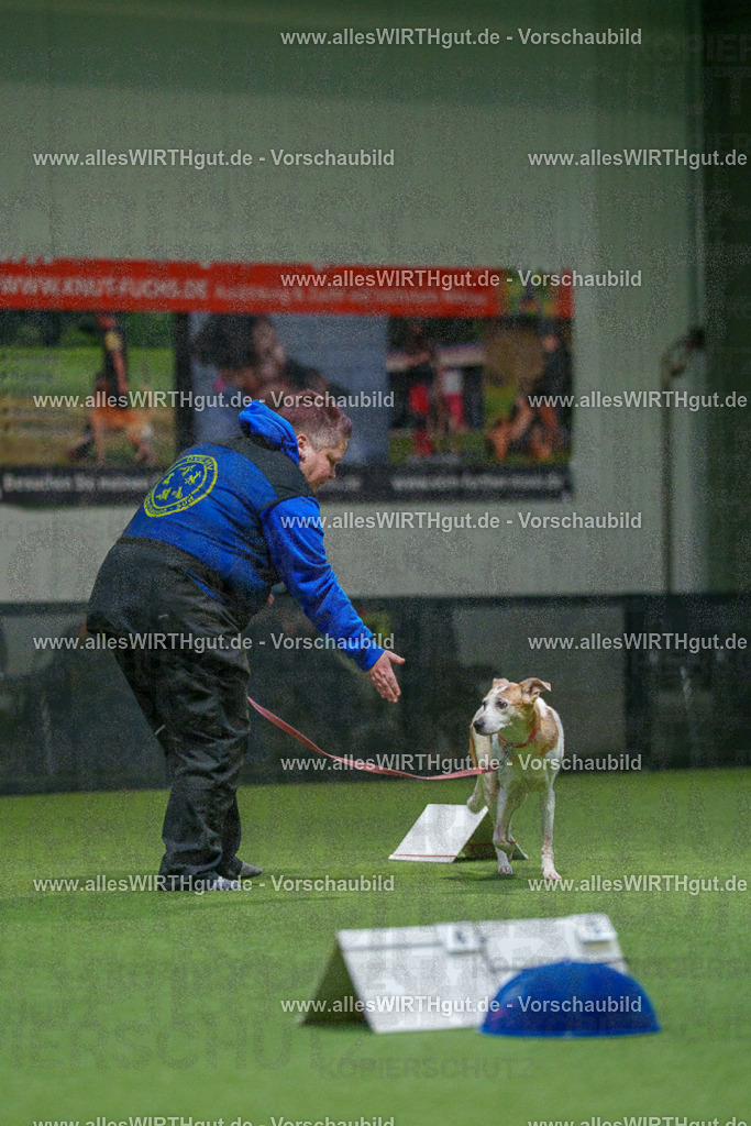 7R504525 | Professionelle Tierfotografie in Mönchengladbach von Daniel Wirth (allesWIRTHgut). Liebevolle & natürliche Bilder von Hunden & Katzen für unvergessliche Erinnerungen.