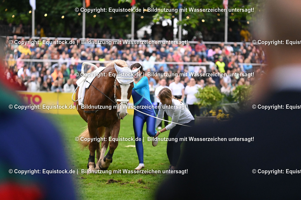 20240517_Lange-Pferdenacht_0331 | Foto: Thomas Hartig
