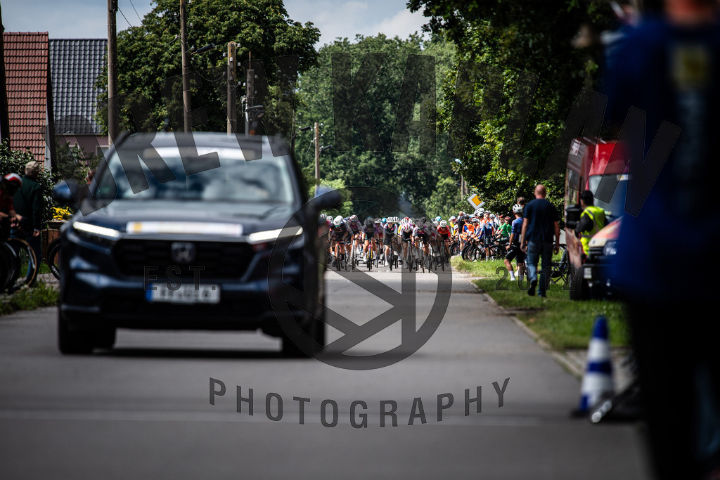 DKP-1563 | Drew Kaplan Photography